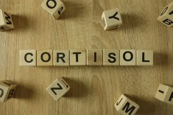 The Hidden Connection: How Stress Shapes Your Fitness and Body Composition 2 Image saying "Cortisol" and how stress Bedford impacts your wellbeing and bodies shape